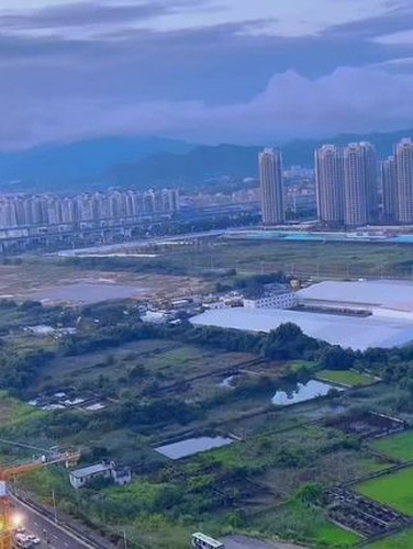 当生日会遇上七夕视频封面