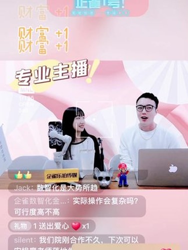 企雀乐拍：双十一直播运营实践视频封面