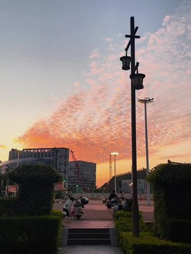 冬至祝福：愿伙伴早日康复视频封面
