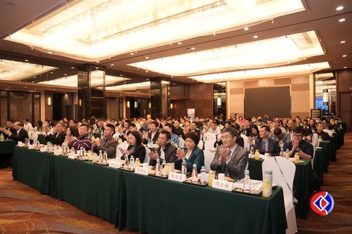 南方之强经济合作峰会视频封面