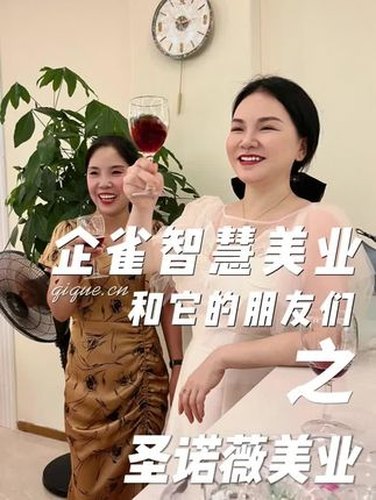 圣诺薇美业：共享合伙人模式视频封面