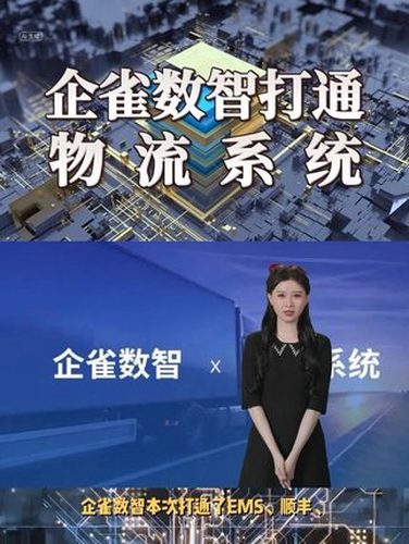 物流系统对接：连接服务与零售内容封面
